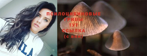 амф Нягань