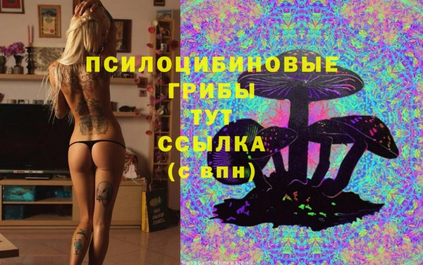 амф Нягань