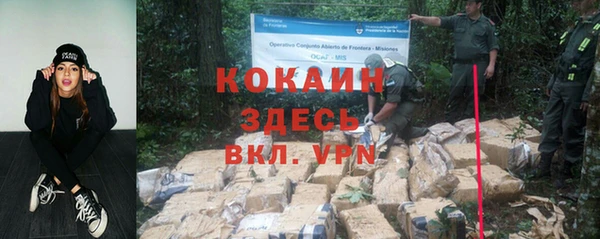 стаф Няндома