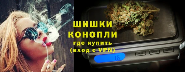 стаф Няндома
