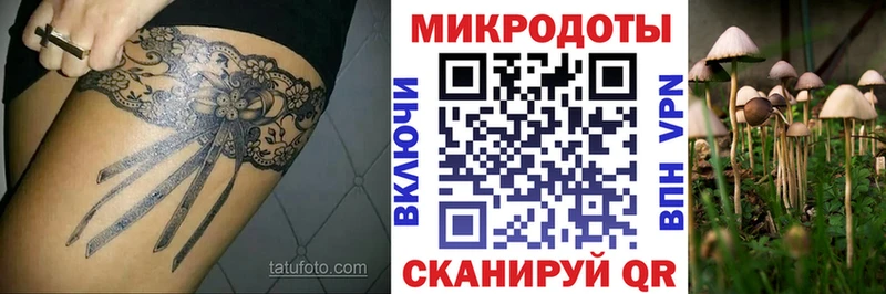 Галлюциногенные грибы прущие грибы  кракен ONION  дарк нет официальный сайт  Северодвинск 