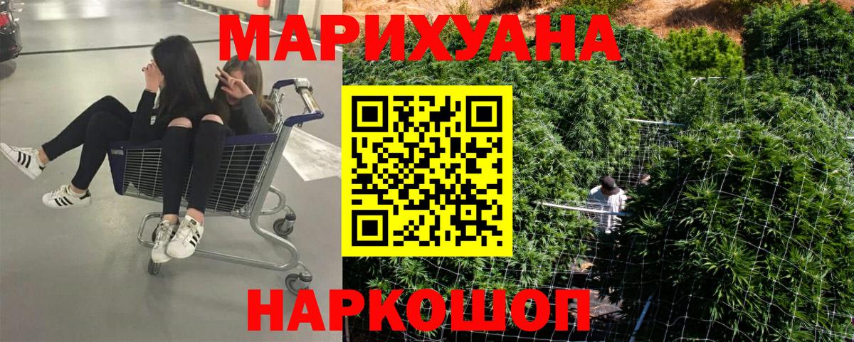 Шишки марихуана марихуана Северодвинск